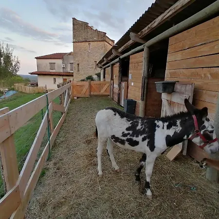Bed and breakfast Les Hauts Vallons