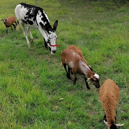 Les Hauts Vallons 3* Puylaroque