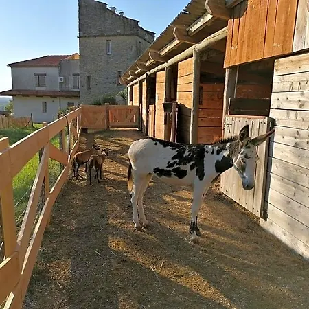 Bed & Breakfast Les Hauts Vallons Puylaroque