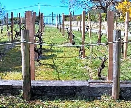 Les Hauts Vallons Bed & Breakfast Puylaroque