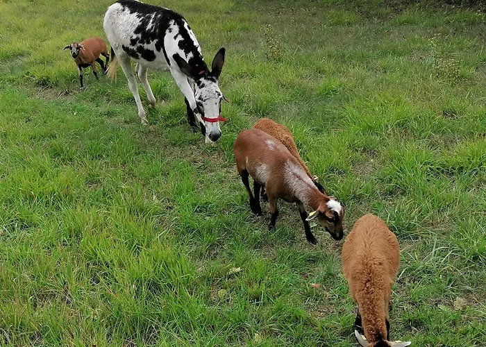 Les Hauts Vallons 3* Puylaroque